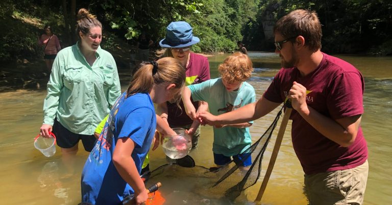 Forests, birds and composting—Ways to save the Earth in Alabama this Fall 2021—Part 3 Forests, birds and composting—Ways to save the Earth in Alabama this Fall 2021—Part 3