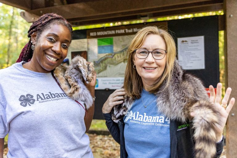 Love the outdoors? Head to Red Mountain Park for BioBlitz Oct. 16 Love the outdoors? Head to Red Mountain Park for BioBlitz Oct. 16