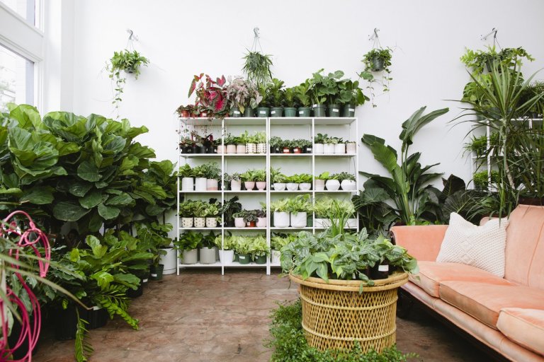 3 Botanica Plant Bar events you don’t want to miss in October 3 Botanica Plant Bar events you don’t want to miss in October
