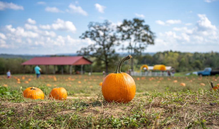5 beloved fall traditions we can’t wait to try in Birmingham 5 beloved fall traditions we can’t wait to try in Birmingham