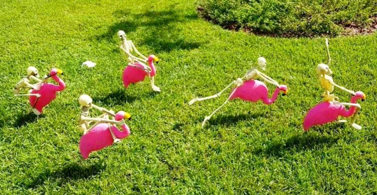 Get in the Halloween spirit with these weekend events in Bham, Oct. 22-24 Get in the Halloween spirit with these weekend events in Bham, Oct. 22-24