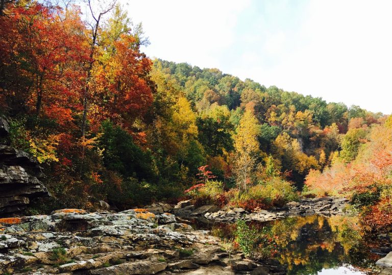 It’s National Hiking Day—here are your picks on the best hiking spots in Birmingham It’s National Hiking Day—here are your picks on the best hiking spots in Birmingham