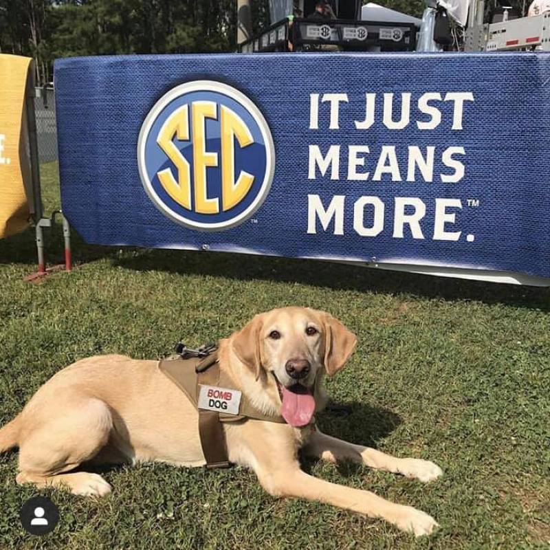 Goodbyes aren’t forever—retired HPD K-9 dog passes at 14 Goodbyes aren’t forever—retired HPD K-9 dog passes at 14