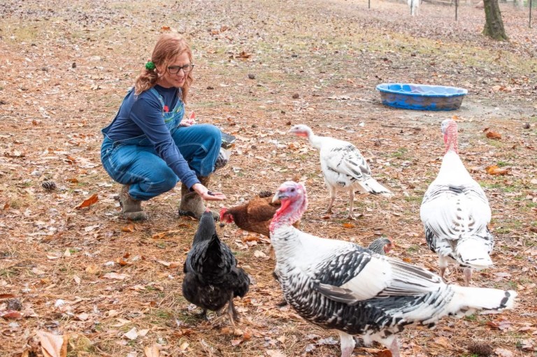 How a chicken changed everything for Judy Snead—founder of Snead’s Farmhouse How a chicken changed everything for Judy Snead—founder of Snead’s Farmhouse