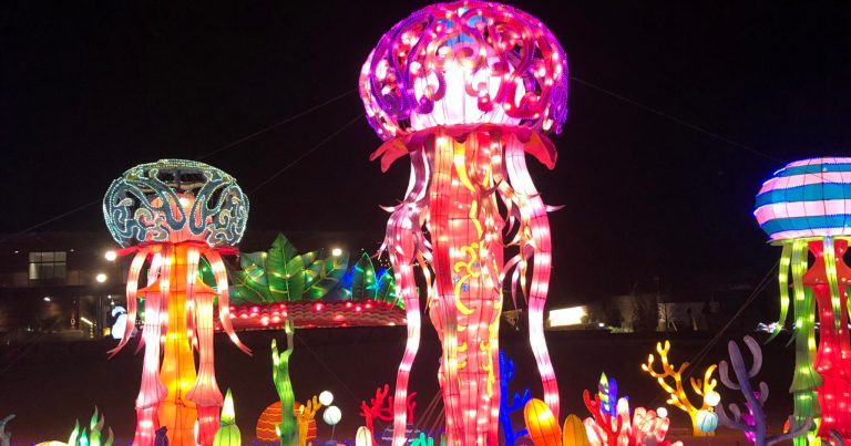 5 spots with the most beautiful Christmas lights in Birmingham 5 spots with the most beautiful Christmas lights in Birmingham