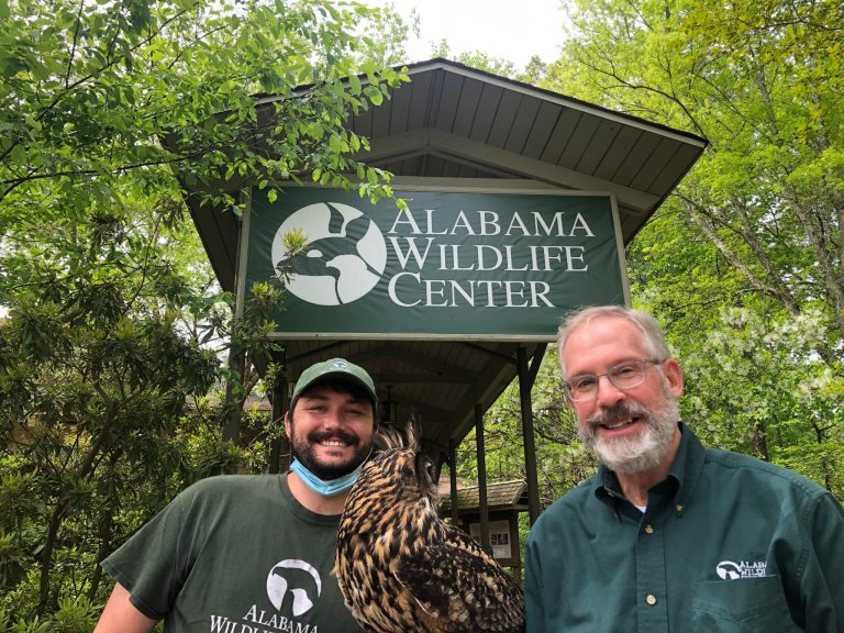 Remembering the life of Douglas Adair from Alabama Wildlife Center Remembering the life of Douglas Adair from Alabama Wildlife Center