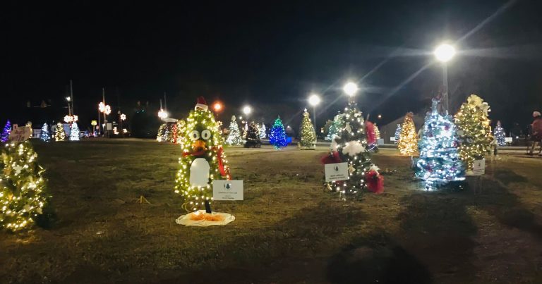 Gardendale’s inaugural Christmas Tree Trail is raising money for charity Gardendale’s inaugural Christmas Tree Trail is raising money for charity