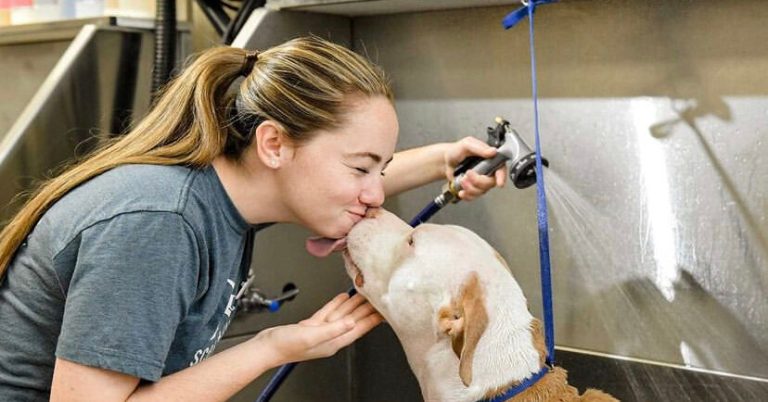 Scenthound pet groomer to open new location on US-280 in February 2022 Scenthound pet groomer to open new location on US-280 in February 2022