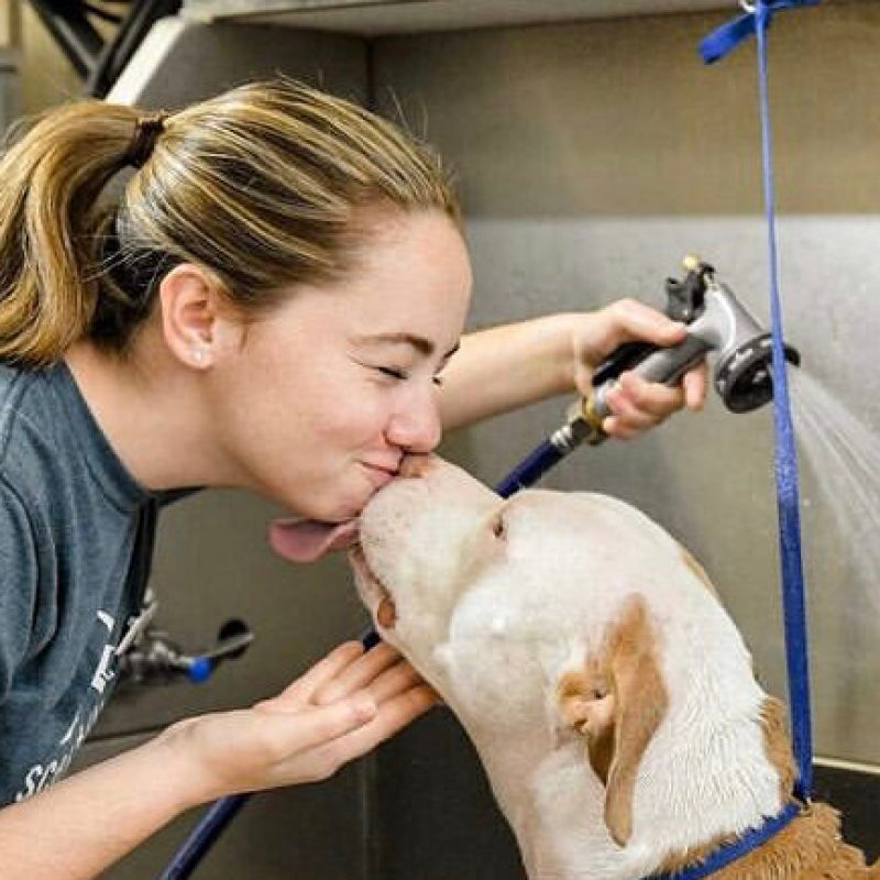 Scenthound pet groomer to open new location on US-280 in February 2022 Scenthound pet groomer to open new location on US-280 in February 2022