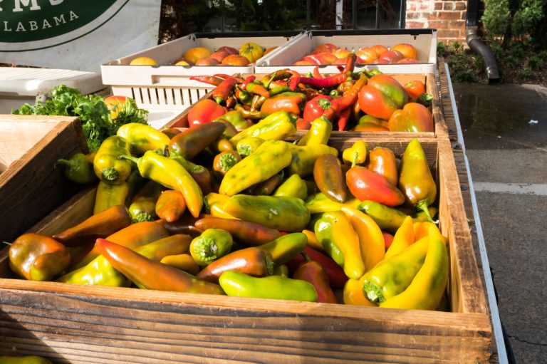 Your guide to 12 amazing Birmingham farmers markets open this winter Your guide to 12 amazing Birmingham farmers markets open this winter