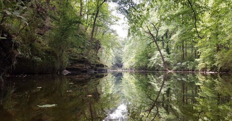 Freshwater Land Trust surpasses 8,000 acres protected in Central Alabama Freshwater Land Trust surpasses 8,000 acres protected in Central Alabama