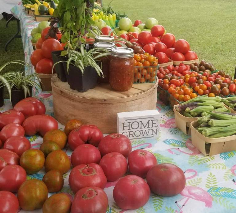 5 reasons why you should visit Hueytown Harvest this season 5 reasons why you should visit Hueytown Harvest this season