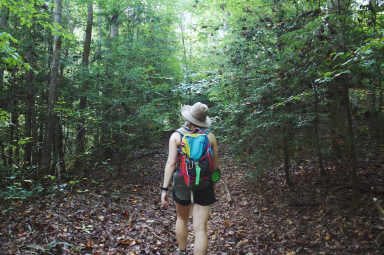 Your ultimate guide to 17 Birmingham walking and hiking spots Your ultimate guide to 17 Birmingham walking and hiking spots