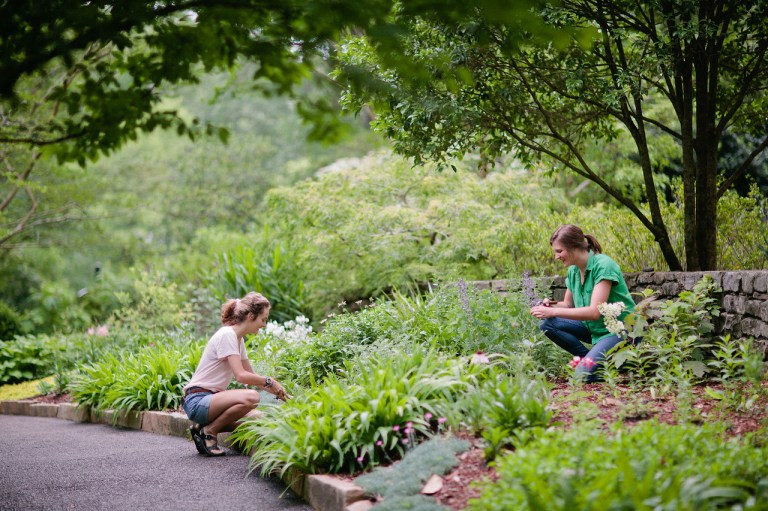 Social media star + founder of Native Habitat Project coming to the Botanical Gardens Social media star + founder of Native Habitat Project coming to the Botanical Gardens