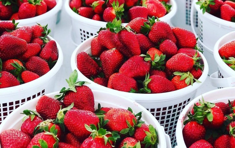 10 markets in Birmingham to attend—including Strawberry Day + Mom’s Vintage Market 10 markets in Birmingham to attend—including Strawberry Day + Mom’s Vintage Market