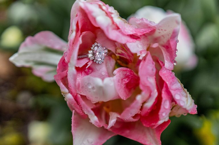 Score amazing deals (& free mimosas) at Diamonds Direct’s Spring Showcase, April 29—May 1 Score amazing deals (& free mimosas) at Diamonds Direct’s Spring Showcase, April 29—May 1