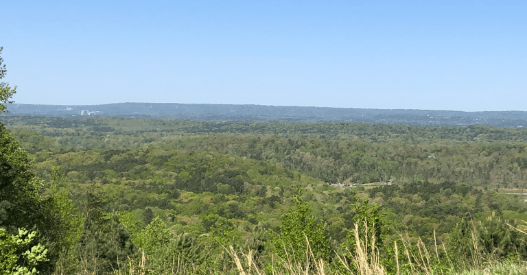 Forever Wild votes to protect 4,718 acres near Birmingham, including key drinking water source Forever Wild votes to protect 4,718 acres near Birmingham, including key drinking water source