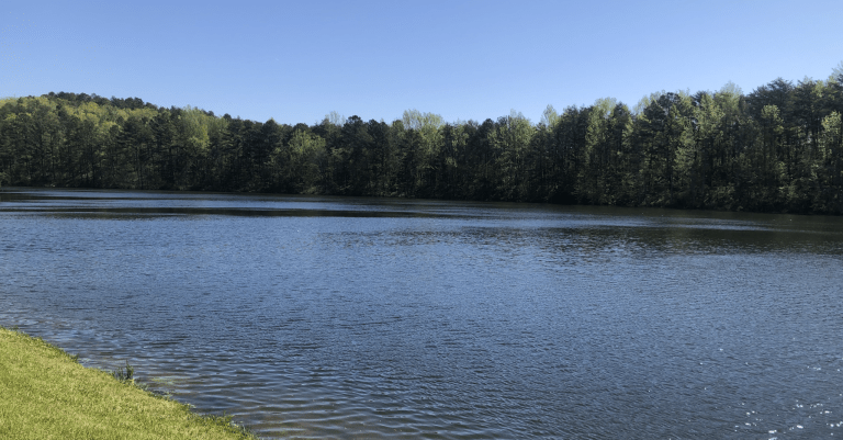 How to start fishing in Birmingham + where to go How to start fishing in Birmingham + where to go