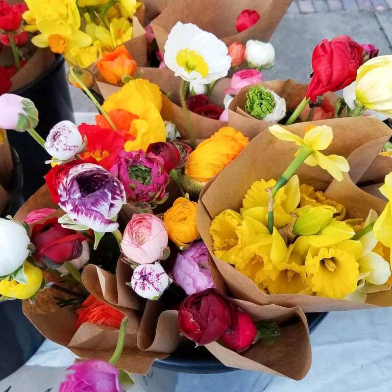 7 local weekend events + special Mother’s Day happenings, May 6-8 7 local weekend events + special Mother’s Day happenings, May 6-8