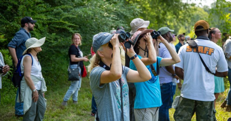 How you can get involved in wildlife watching + nature education efforts in Alabama How you can get involved in wildlife watching + nature education efforts in Alabama