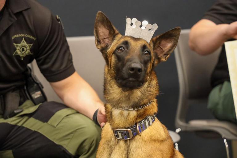 Jefferson County Sheriff’s Office K-9 Unit graduation, the first ever! Jefferson County Sheriff’s Office K-9 Unit graduation, the first ever!