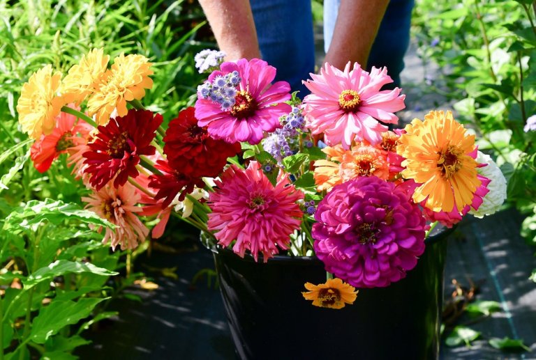 8 U-pick Birmingham flower farms + floral shops for the best Mother’s Day gift 8 U-pick Birmingham flower farms + floral shops for the best Mother’s Day gift