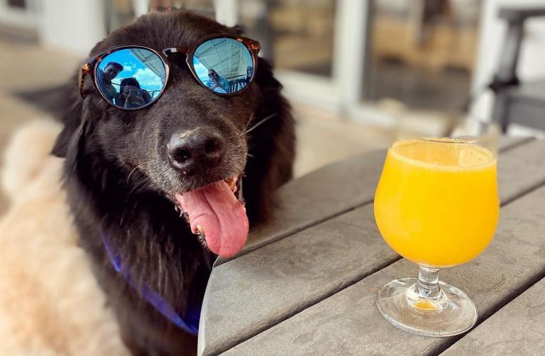 8 weekend events + Rojo’s BIG birthday bash—June 24-26 8 weekend events + Rojo’s BIG birthday bash—June 24-26