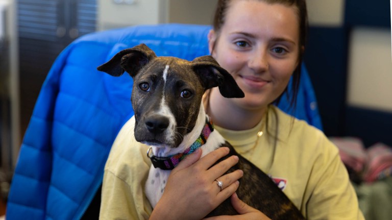 5 reasons Alabama Spay/Neuter’s where you want to get your pet fixed 5 reasons Alabama Spay/Neuter’s where you want to get your pet fixed