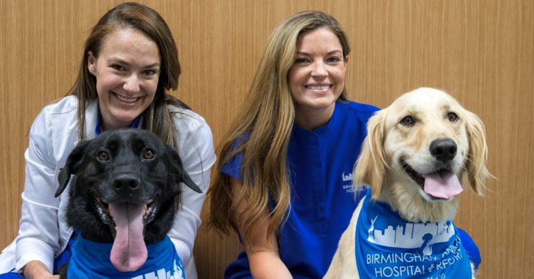 COMING SOON: Birmingham Animal Hospital + Resort is ready to love on your pets—open house on June 25 COMING SOON: Birmingham Animal Hospital + Resort is ready to love on your pets—open house on June 25