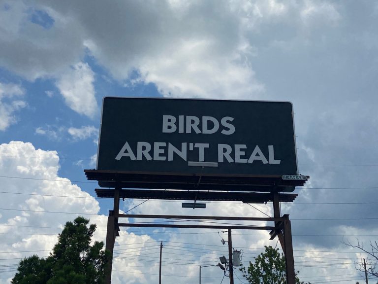 Birds Aren’t Real and the Church of Bacon—what you need to know about Birmingham’s strangest new billboards Birds Aren’t Real and the Church of Bacon—what you need to know about Birmingham’s strangest new billboards