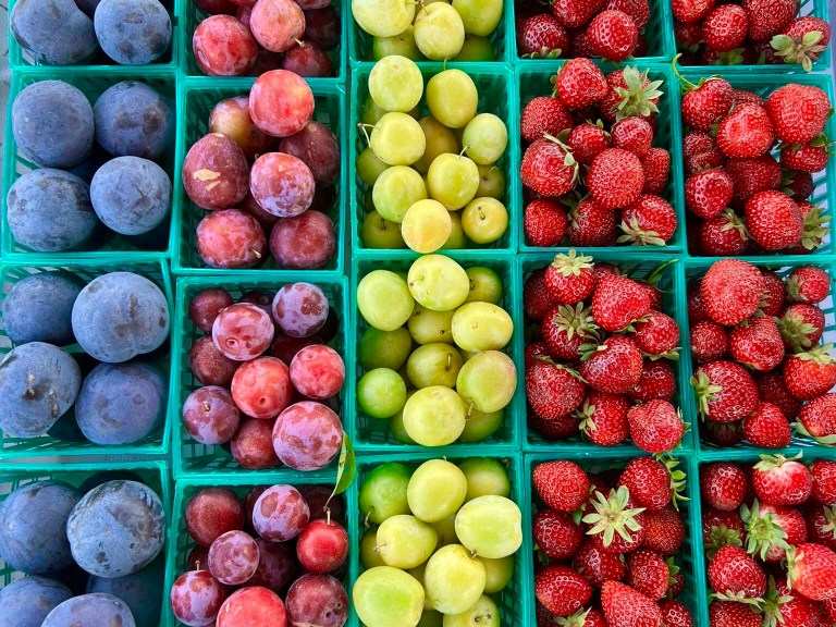 5 Shelby County Farmer’s Markets for you to visit this summer 5 Shelby County Farmer’s Markets for you to visit this summer