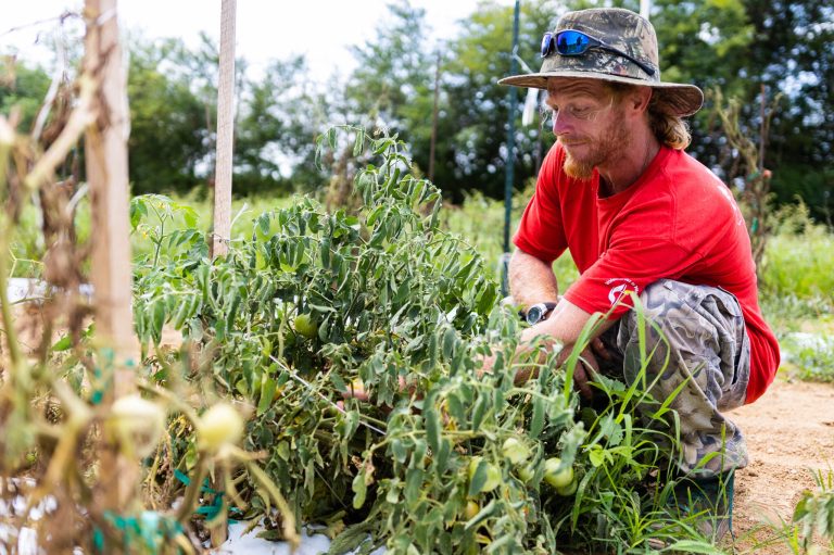 The Foundry Farm digs deeper than dirt—a unique recovery program The Foundry Farm digs deeper than dirt—a unique recovery program