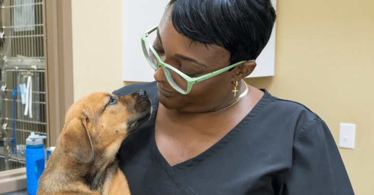 NEW: 11 local animal nonprofits awarded K through Remy Fund NEW: 11 local animal nonprofits awarded K through Remy Fund