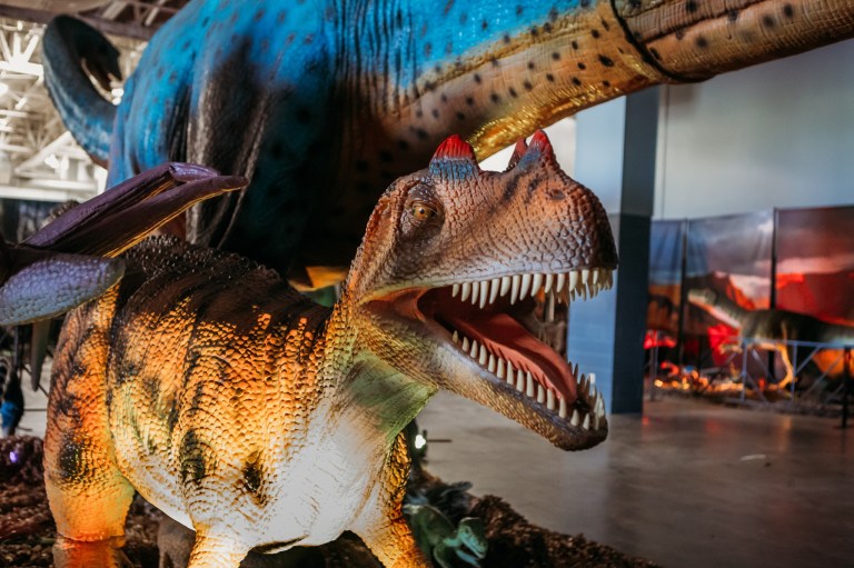 Now the Weekend: Jurassic Quest, Saturn Market + more Now the Weekend: Jurassic Quest, Saturn Market + more