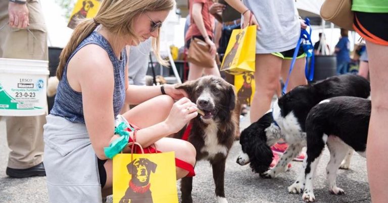 Hop over to these 13 weekend events in Birmingham including Fido Fest—March 29-31 Hop over to these 13 weekend events in Birmingham including Fido Fest—March 29-31