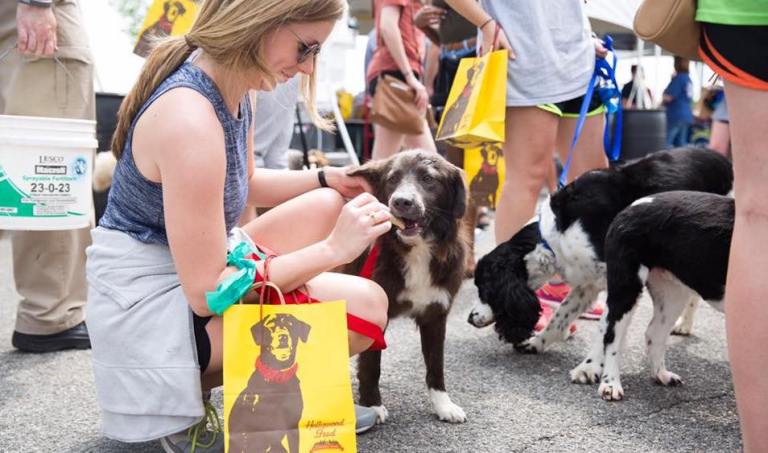 24 events for a great September including Fido Fest 24 events for a great September including Fido Fest