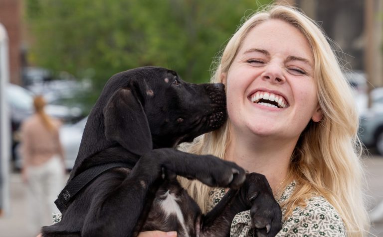 6 don’t-miss weekend events + National Dog Day—Aug. 26-28 6 don’t-miss weekend events + National Dog Day—Aug. 26-28