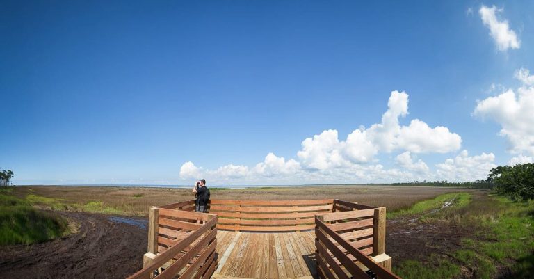 Happy 30th birthday Forever Wild! How it became a blueprint for conservation in Alabama Happy 30th birthday Forever Wild! How it became a blueprint for conservation in Alabama