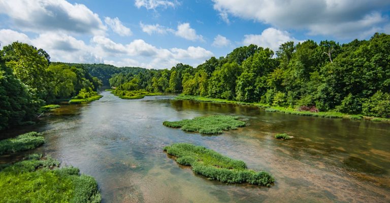 99.8% of Alabamians live within 50 miles of one of these Forever Wild properties—see how the program has changed our state for the better 99.8% of Alabamians live within 50 miles of one of these Forever Wild properties—see how the program has changed our state for the better
