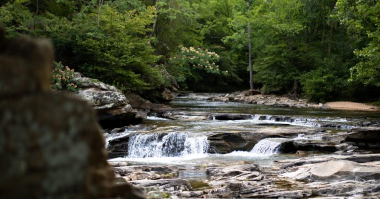 Turkey Creek Nature Preserve could soon add 300+ acres Turkey Creek Nature Preserve could soon add 300+ acres