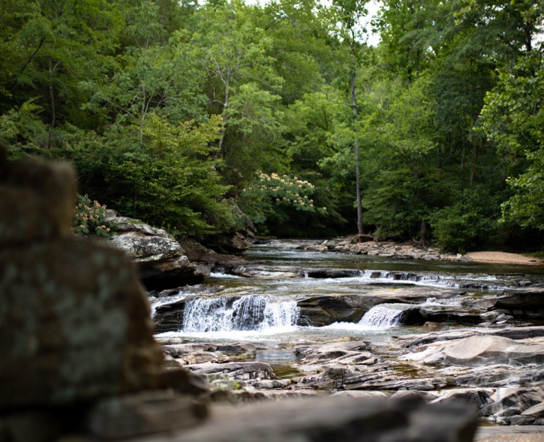BREAKING: Forever Wild expands Turkey Creek Nature Preserve 170 acres BREAKING: Forever Wild expands Turkey Creek Nature Preserve 170 acres