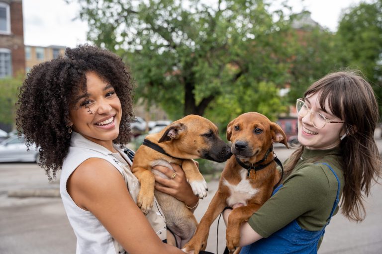 Birmingham named 7th most pet-friendly city in the U.S. Birmingham named 7th most pet-friendly city in the U.S.