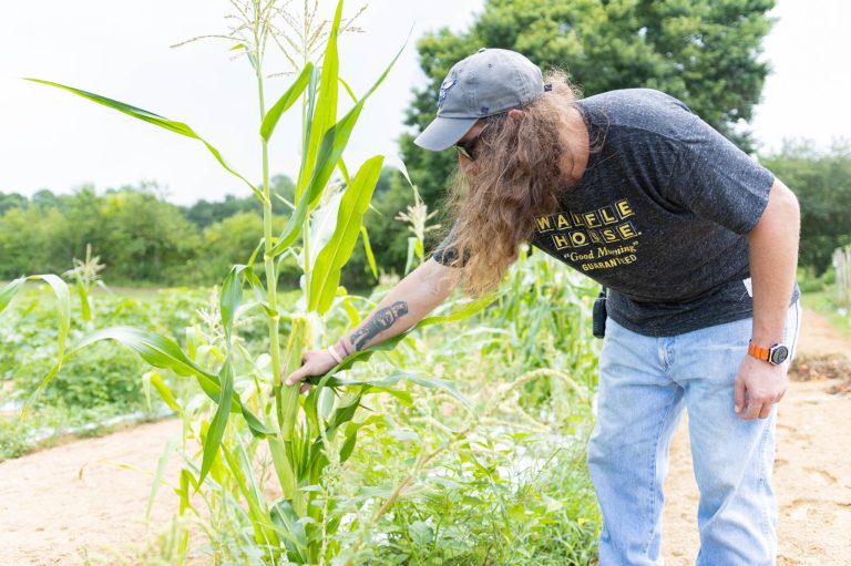 Did you know this farm is helping to heal people? Did you know this farm is helping to heal people?