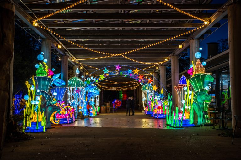 15 fun weekend events in The Magic City including Glow Wild + more—Nov 17-19 15 fun weekend events in The Magic City including Glow Wild + more—Nov 17-19