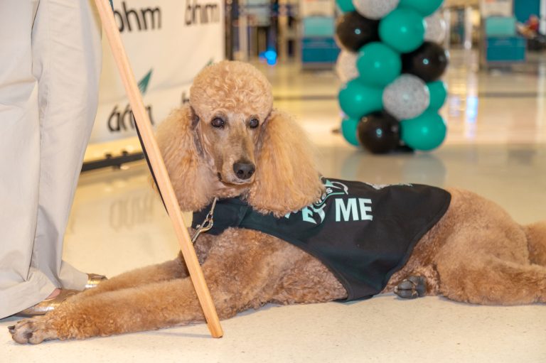 The Birmingham airport supports new Traveler Loving Canines program The Birmingham airport supports new Traveler Loving Canines program