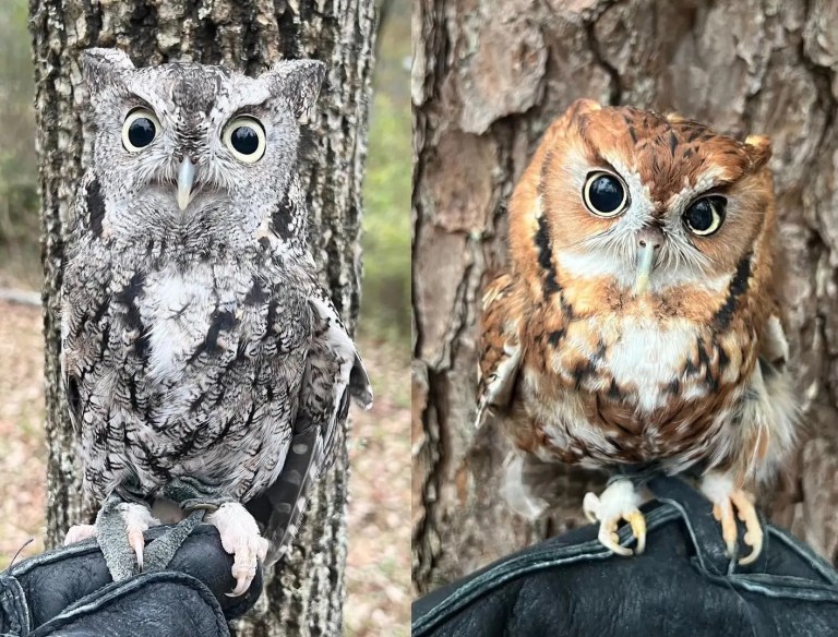 9 local gifts for the nature nerd in your life 9 local gifts for the nature nerd in your life