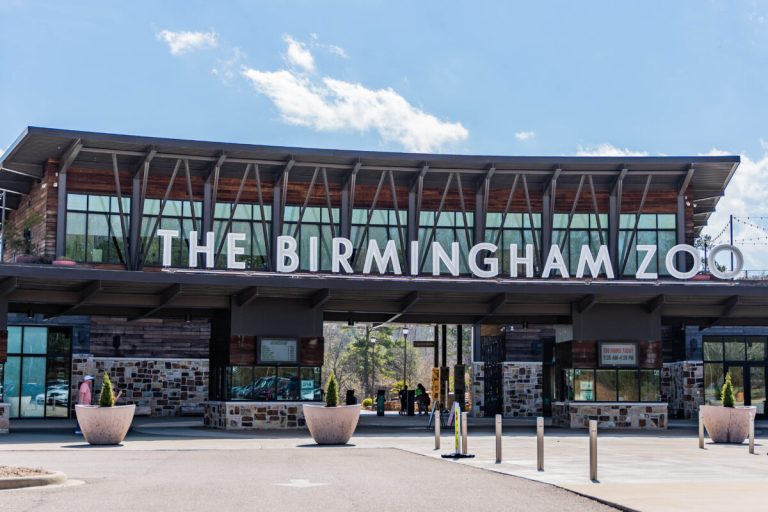 13 weekend events in Birmingham including a free E-recycling day at the Zoo + more—Jan. 26-28 13 weekend events in Birmingham including a free E-recycling day at the Zoo + more—Jan. 26-28