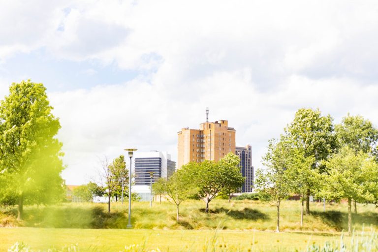 There are 21K job openings in The Greater Birmingham Area—apply now There are 21K job openings in The Greater Birmingham Area—apply now