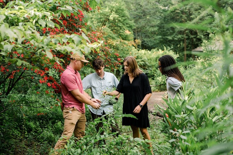 Secure your spot now for the Native Plant Conference—Mar. 10-11 at Birmingham Botanical Gardens Secure your spot now for the Native Plant Conference—Mar. 10-11 at Birmingham Botanical Gardens