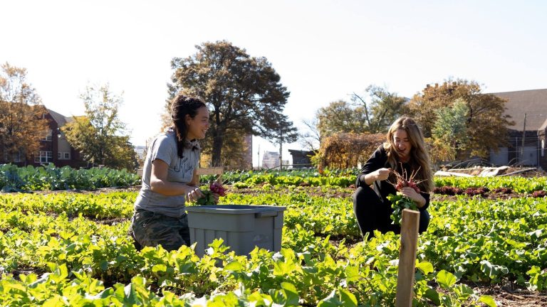 Nearly 70% of the Birmingham community is impacted by food insecurity. This new Food Rx program is here to help. Nearly 70% of the Birmingham community is impacted by food insecurity. This new Food Rx program is here to help.